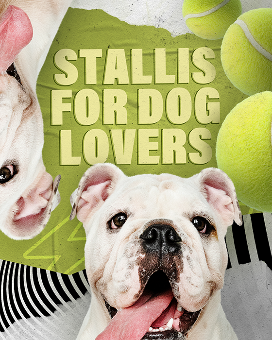 best dog friendly restaurants and bars in stallis