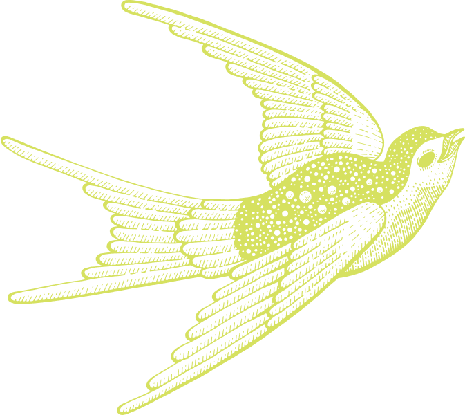 stallis bird